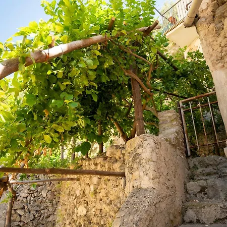 Il Giardino Di Nonna Pina * Cetara